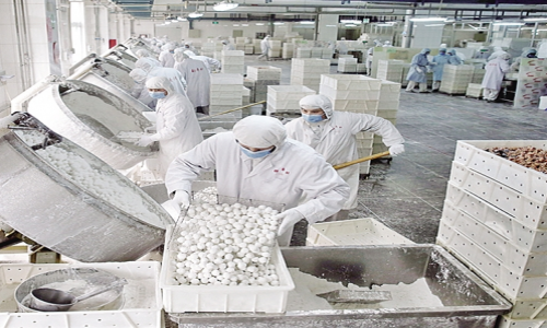 云南臨滄容天下食品廠低露點轉(zhuǎn)輪除濕機 - 副本.jpg